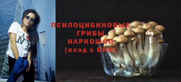 мдпв Верхний Тагил