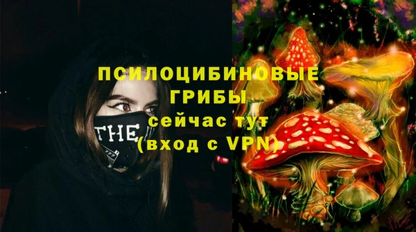 мдпв Верхний Тагил