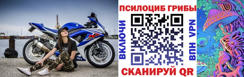 Псилоцибиновые грибы Psilocybe  Киржач 